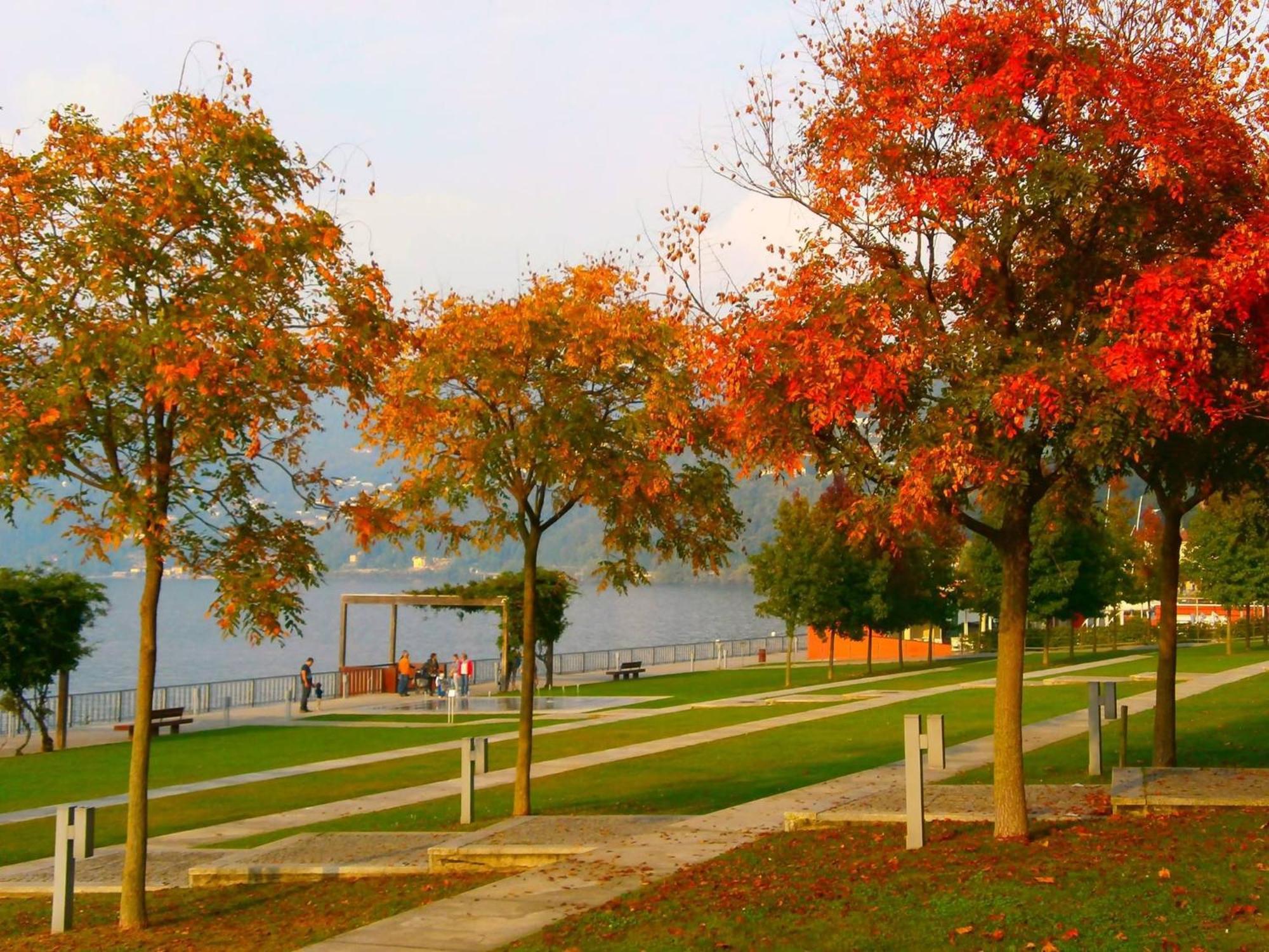 Lago Maggiore Holiday House, Lake View, Vignone Dumenza Buitenkant foto